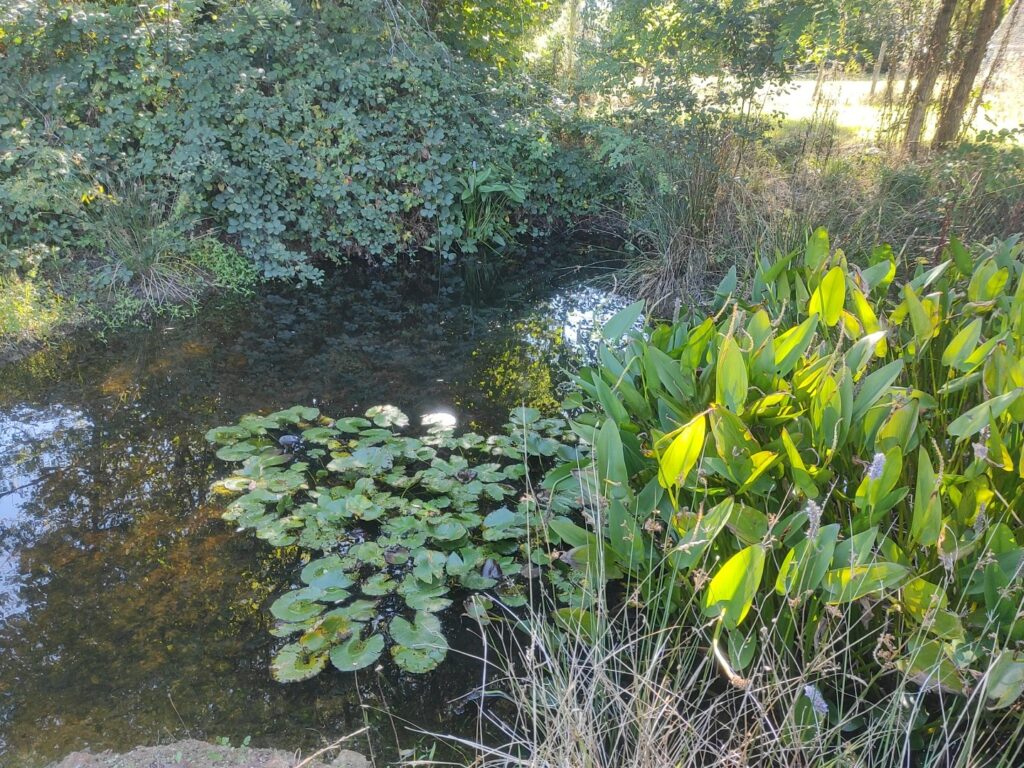 lieu de stage bien être - Gîte en pleine nature