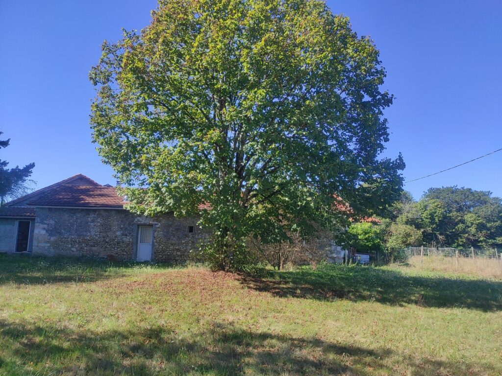 lieu de stage bien être - Gîte en pleine nature