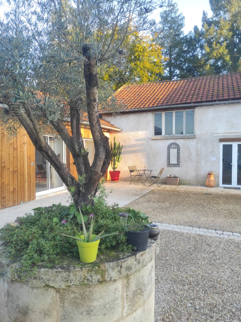 lieu de stage bien être - Gîte en pleine nature